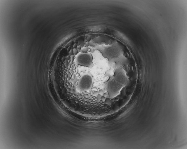 X0000086090725200703301150