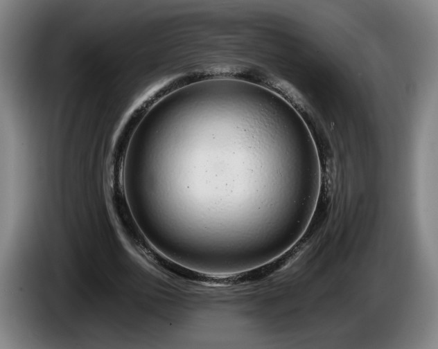 X0000086090726200703301150