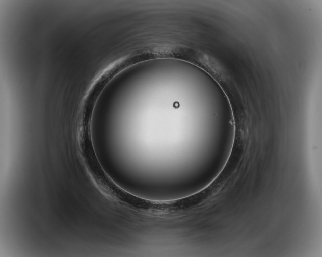 X0000086090728200703301150