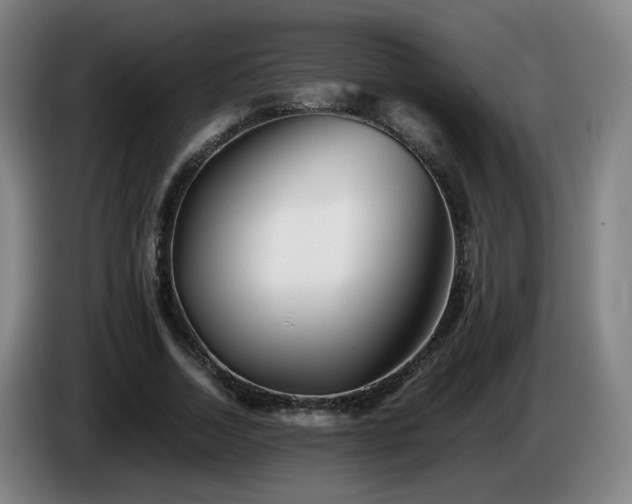 X0000086090730200703301150