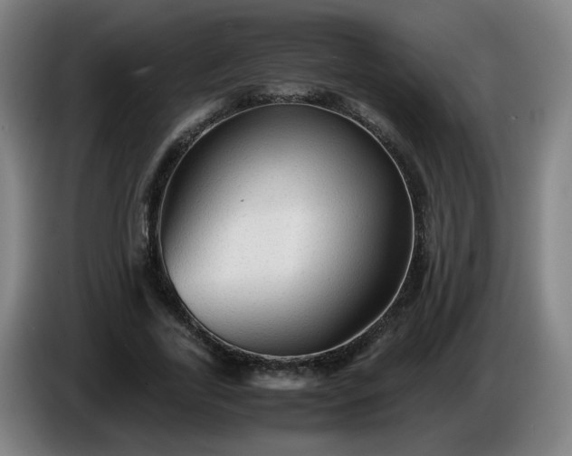 X0000086090731200703301150