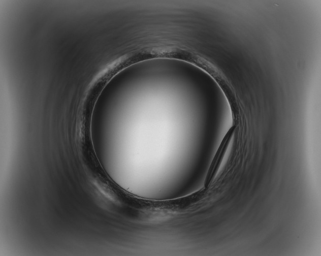 X0000086090732200703301150