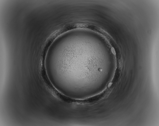 X0000086090733200703301150