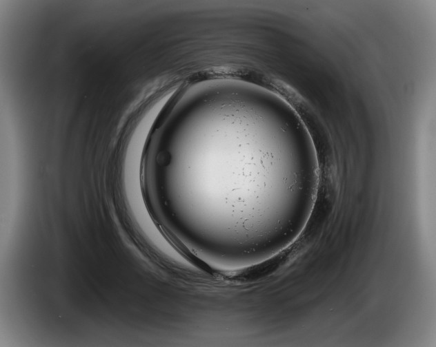 X0000086090734200703301150