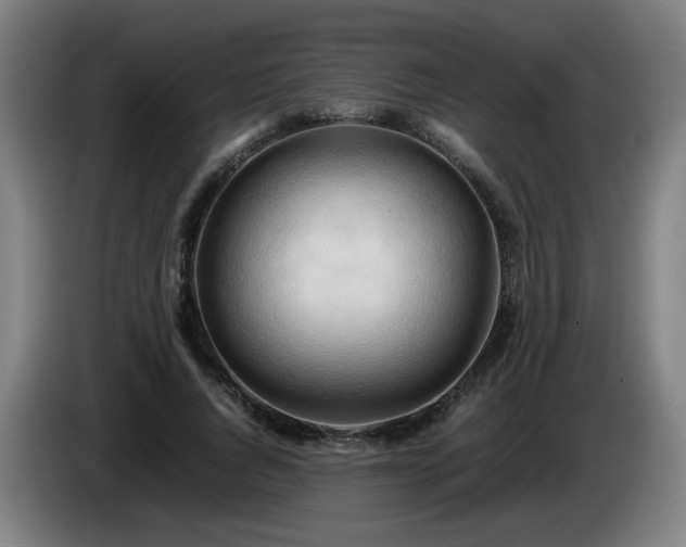 X0000086090736200703301150