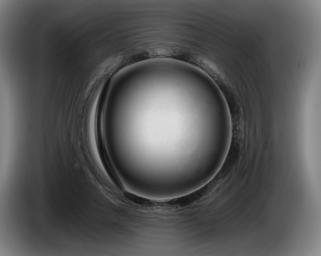 X0000086090738200703301150