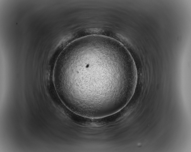 X0000086090739200703301150