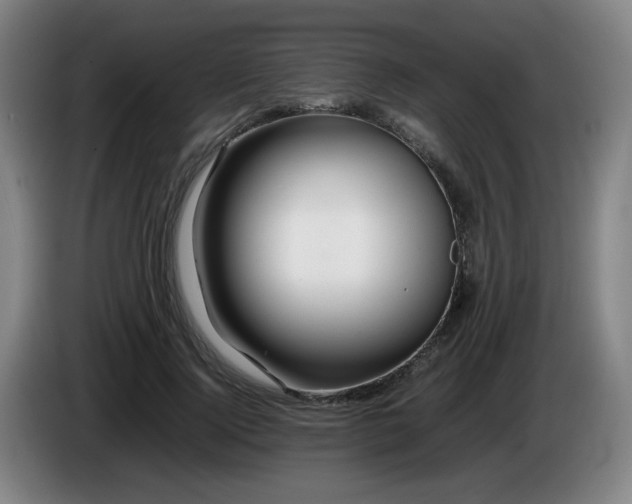 X0000086090740200703301150