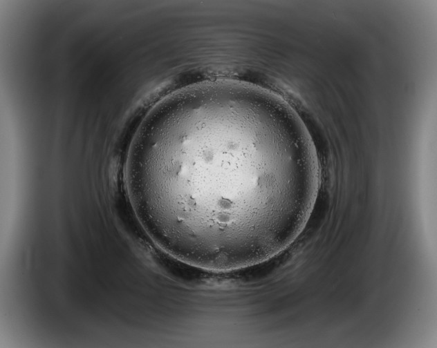 X0000086090742200703301150