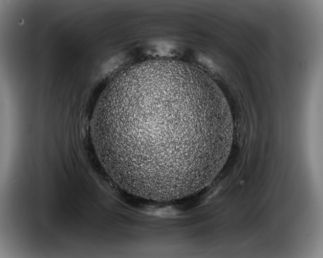 X0000086090747200703301150