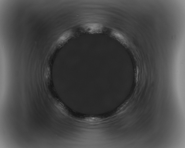 X0000086090748200703301150