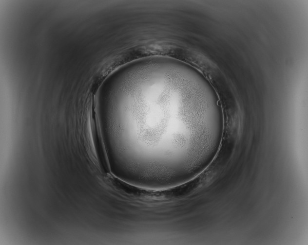 X0000086090749200703301150