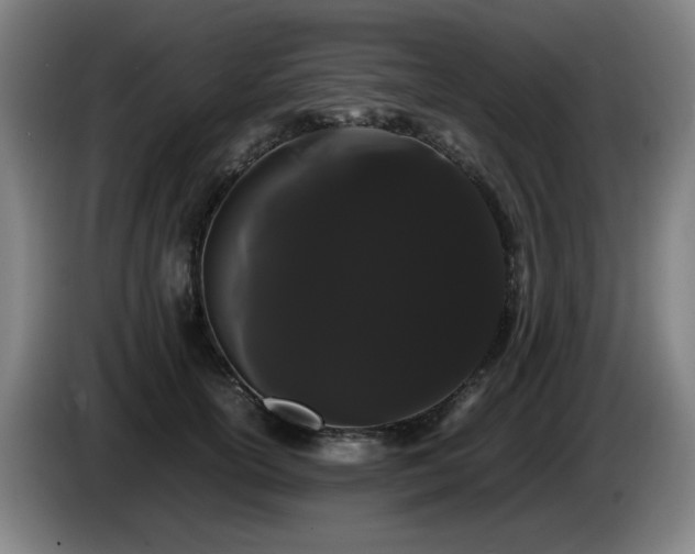 X0000086090754200703301151