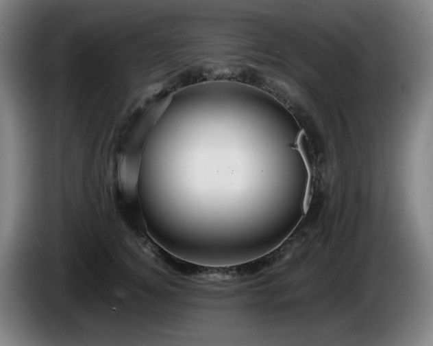 X0000086090756200703301151