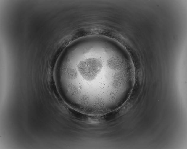 X0000086090757200703301151