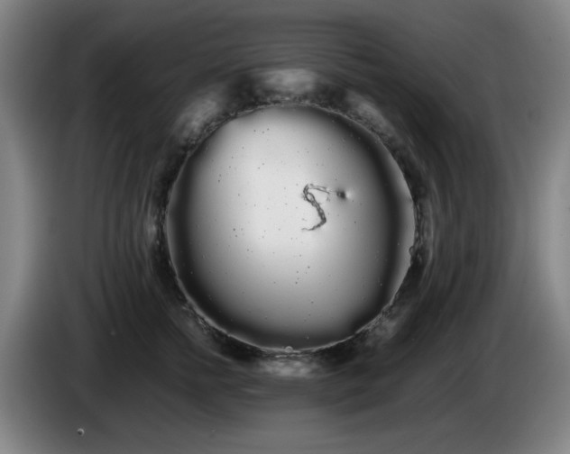 X0000086090758200703301151