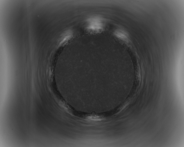 X0000086090759200703301151