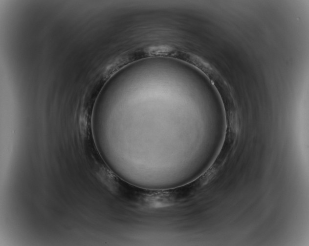 X0000086090761200703301151