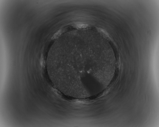 X0000086090763200703301151