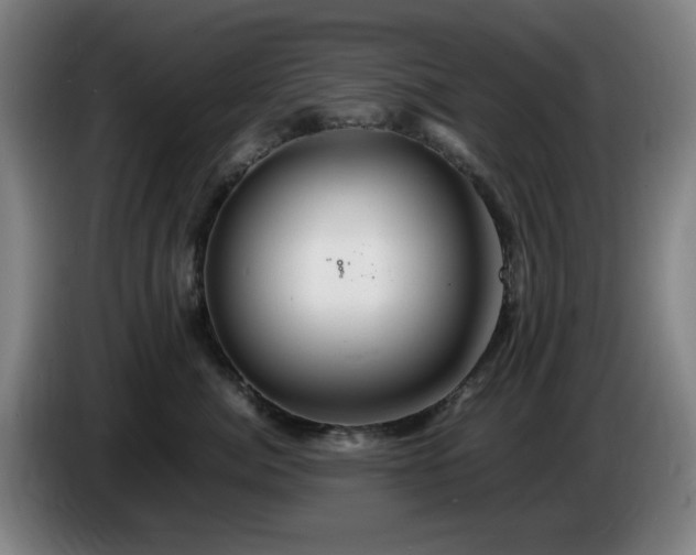 X0000086090764200703301151