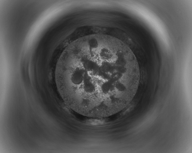 X0000086090765200703301151