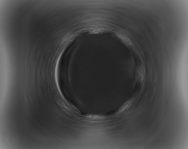 X0000086090766200703301151