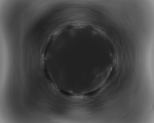 X0000086090767200703301151