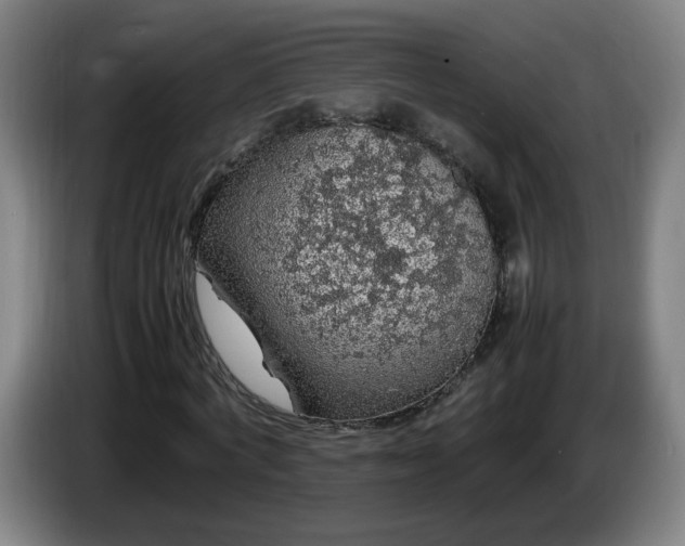 X0000086090772200703301150