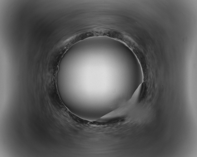 X0000086090773200703301150