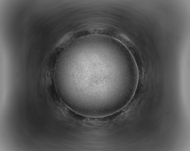 X0000086090774200703301150