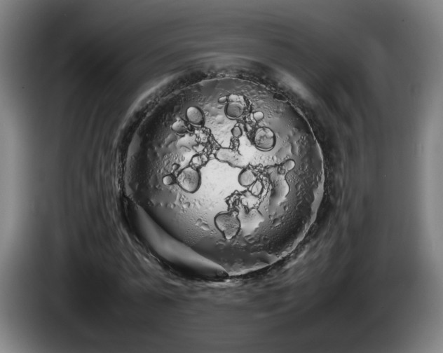 X0000086090775200703301150