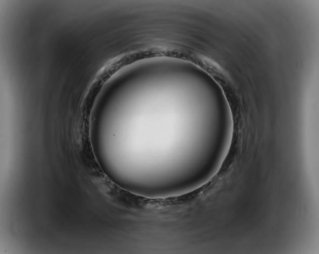 X0000086090776200703301150