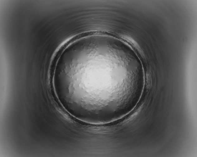 X0000086090780200703301150