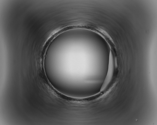 X0000086090781200703301150