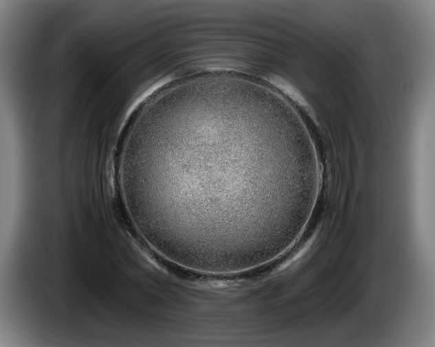 X0000086090782200703301150