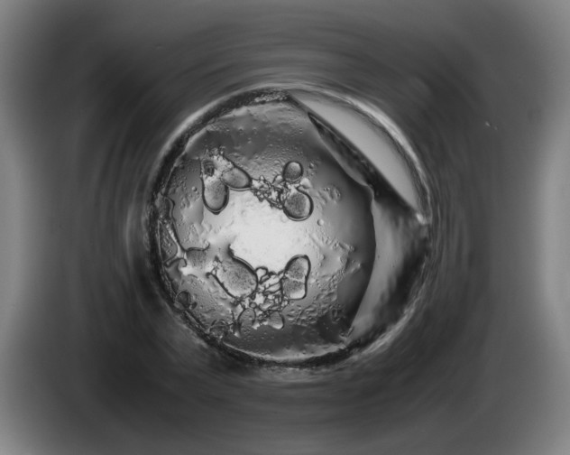 X0000086090783200703301150