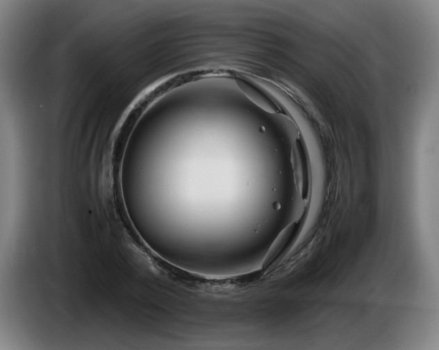 X0000086090784200703301150