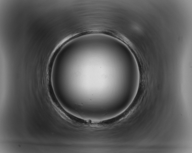 X0000086090787200703301150