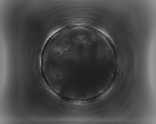 X0000086090790200703301150