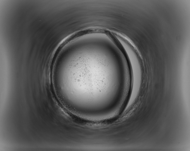 X0000086090791200703301150