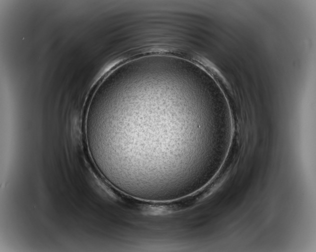 X0000086090794200703301150