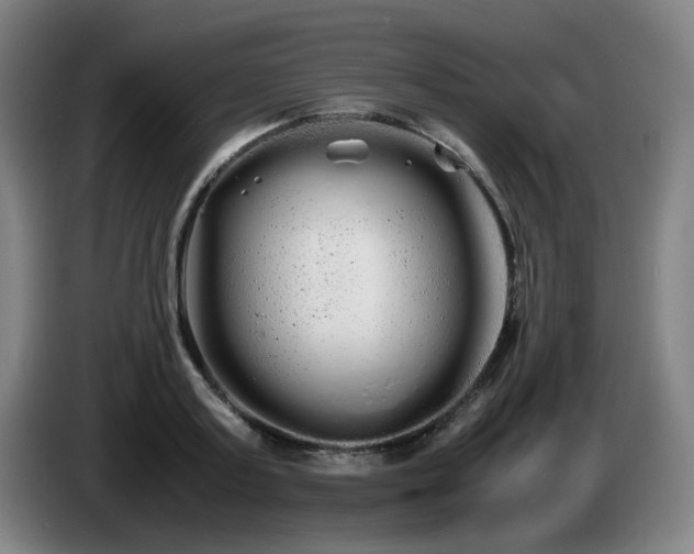 X0000086090795200703301150