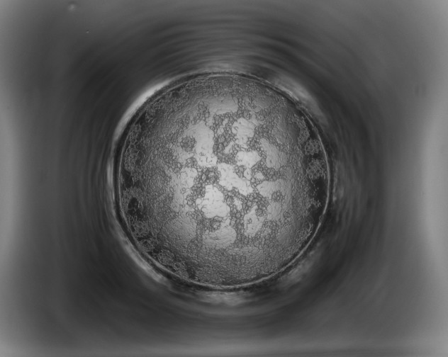 X0000086090796200703301150