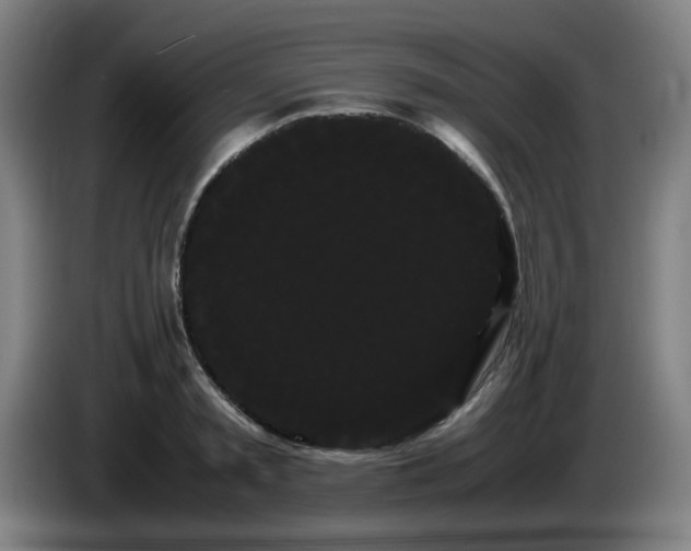 X0000086090797200703301150