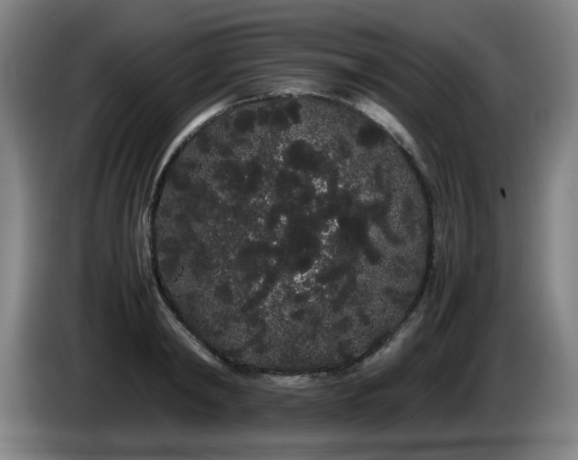 X0000086090798200703301150