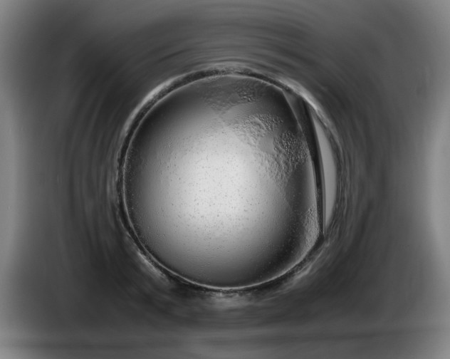 X0000086090799200703301150