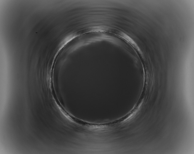 X0000086090802200703301150