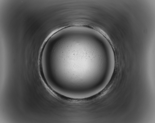 X0000086090803200703301150