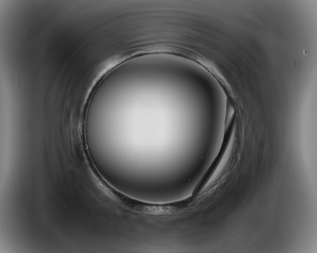 X0000086090805200703301150