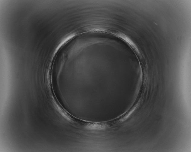 X0000086090806200703301150